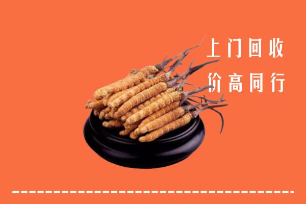 高价求购：黄冈市回收散虫草